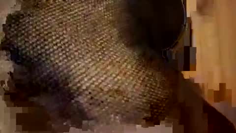 Forever Erotica online show from 11-09-25, 11:25