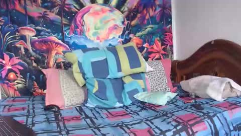 Mike online show from 01-14-26, 04:56