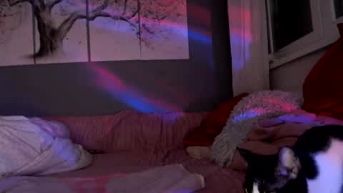     .... ............ Onlyfans   online show from 03-22-26, 06:44