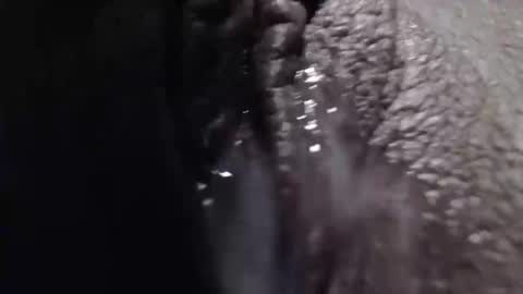 sexyjustin202 online show from 02-26-25, 01:53