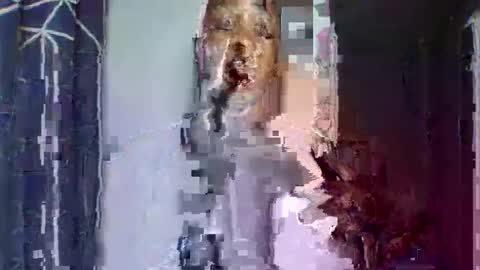 Snapshot of sexykuchie889 chatting on 05-07-26, 09:31 malia online show from 05-07-26, 09:31