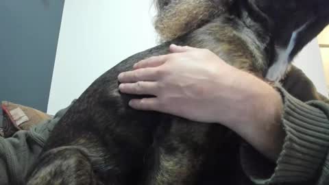 Snapshot of sexymountainman420 chatting on 10-19-25, 07:09 Sexymountainman420 online show from 10-19-25, 07:09