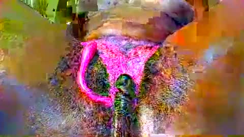 sexyy_pussy4147 online show from 05-13-26, 09:06
