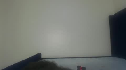 Shadow online show from 11-29-25, 01:25