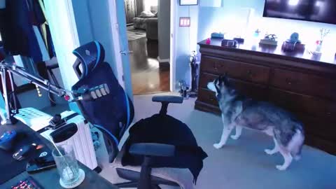 Snapshot of shaftyone4u chatting on 01-16-25, 09:40 shaftyone4u online show from 01-16-25, 09:40