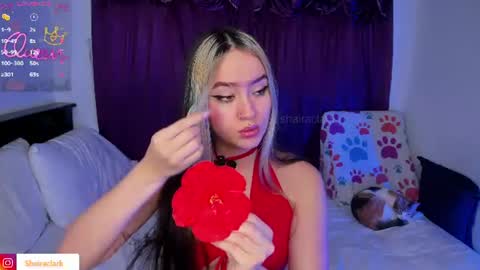 Snapshot of shairaclark_ chatting on 07-22-26, 03:09 Shaira Clark online show from 07-22-26, 03:09
