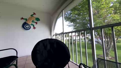 Shannon Spears online show from 01-05-25, 08:52