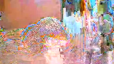 ShanyaRise online show from 05-14-26, 11:39