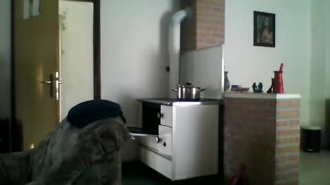 excelo21 online show from 12-22-24, 09:44