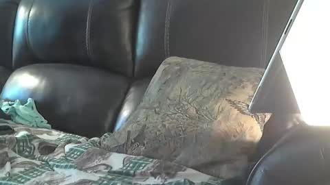 Sharkey644 online show from 03-26-26, 03:28