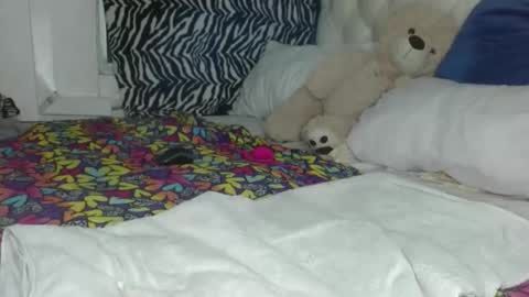 sharlot03 online show from 01-29-25, 10:48