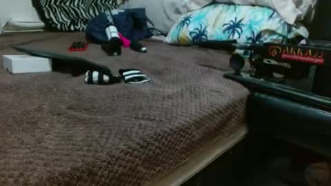 sharlot03 online show from 02-12-25, 10:56