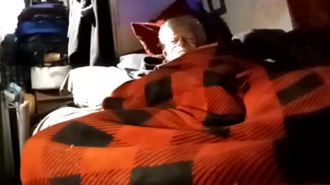 Snapshot of sharoc666 chatting on 12-04-24, 12:03 Shamroc online show from 12-04-24, 12:03