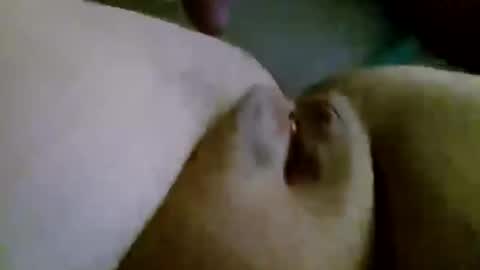 Snapshot of shay6371 chatting on 11-28-25, 07:55 shay6371 online show from 11-28-25, 07:55