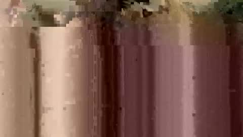 sheablo33 online show from 12-17-25, 02:39