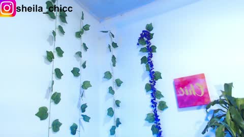 Snapshot of sheila_bigcok chatting on 12-09-24, 07:39 SHEILA  online show from 12-09-24, 07:39