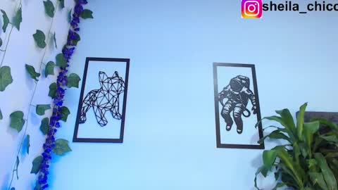 Snapshot of sheila_bigcok chatting on 02-26-25, 02:25 SHEILA  online show from 02-26-25, 02:25