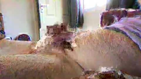 sherlockholmes74 online show from 04-02-26, 03:09