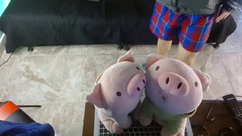  .. shinobi .. online show from 01-24-25, 03:55