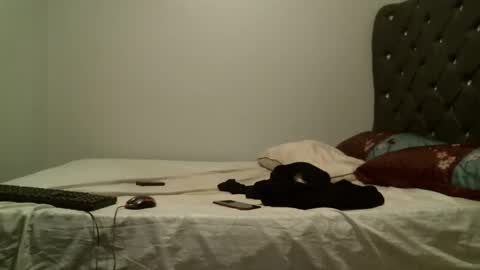 Shi-ro online show from 10-26-25, 08:04