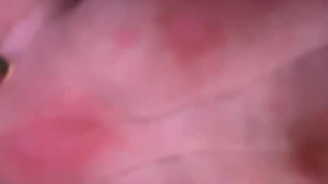 Snapshot of shurd7 chatting on 04-22-26, 11:06 shurd7 online show from 04-22-26, 11:06