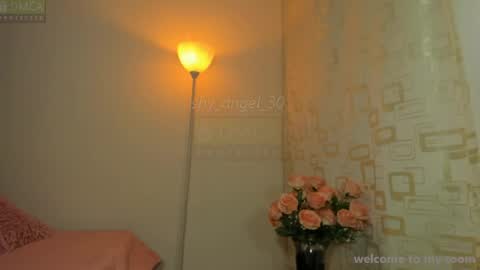 Angel  online show from 08-04-26, 06:21