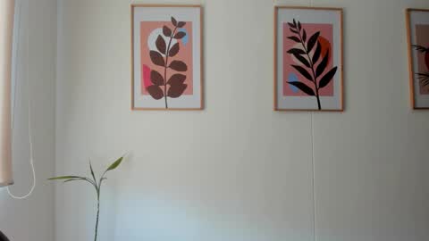 Snapshot of shylittlebunny chatting on 02-11-26, 02:33 shylittlebunny online show from 02-11-26, 02:33