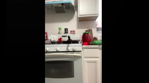 Snapshot of shyyyguyyy59 chatting on 10-08-25, 04:26 shyyyguyyy59 online show from 10-08-25, 04:26