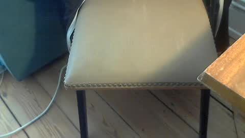 Snapshot of sibblii0 chatting on 06-19-26, 09:02 Seba online show from 06-19-26, 09:02