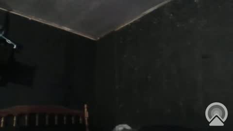 Snapshot of sikwitit625 chatting on 12-29-24, 04:40 Cdub625 online show from 12-29-24, 04:40