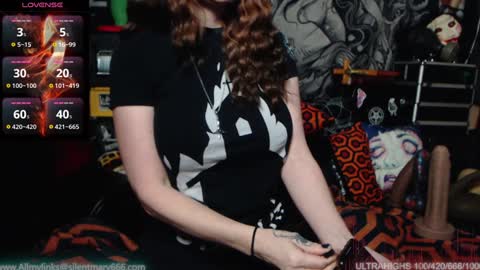 Allmylinkssilentmary666 online show from 01-25-25, 03:19