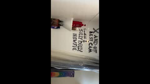 Silly Dilly Newfie online show from 06-22-26, 04:26