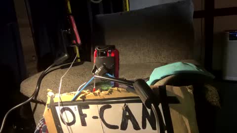 Silly Dilly Newfie online show from 07-21-26, 03:09