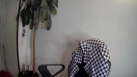 Snapshot of silviecollins chatting on 01-07-25, 03:46 Silvie online show from 01-07-25, 03:46