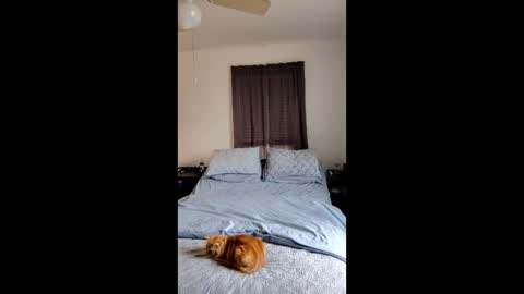 simplysarah1225 online show from 02-17-26, 04:24