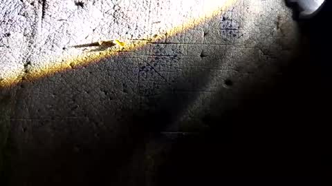 sinar2bulungan online show from 02-16-26, 12:01