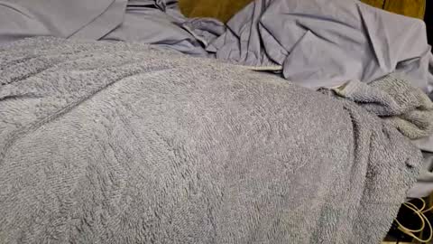 Snapshot of sinseason chatting on 12-03-24, 09:22 Sinseason online show from 12-03-24, 09:22