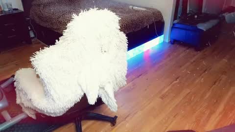 Ashleigh Mak online show from 04-21-26, 11:51