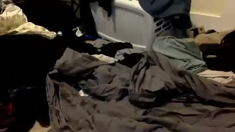 Kora online show from 10-14-25, 06:36