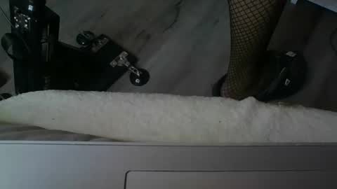 Snapshot of sissymia1234 chatting on 12-17-25, 03:23 sissymia1234 online show from 12-17-25, 03:23