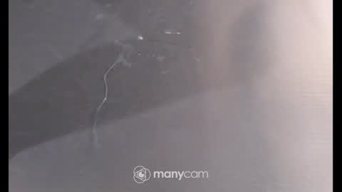 Sissyslut6111 online show from 12-26-24, 06:54