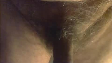 sjim368 online show from 10-31-25, 12:28