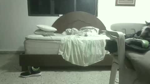 skanky_little_dolls online show from 11-27-25, 08:05