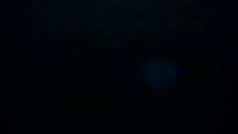 Skarlet online show from 10-08-25, 02:20