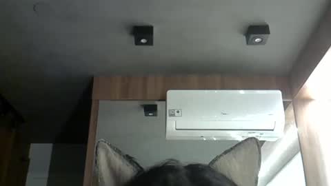 skinnykittencam online show from 10-20-25, 01:39