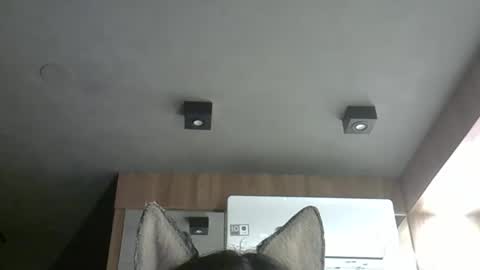 skinnykittencam online show from 10-24-25, 02:08