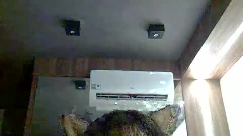 skinnykittencam online show from 01-14-26, 03:28