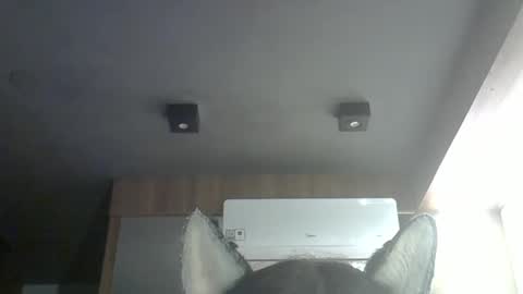 Snapshot of skinnykittencam chatting on 03-14-26, 09:26 skinnykittencam online show from 03-14-26, 09:26