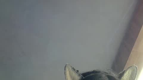 Snapshot of skinnykittencam chatting on 03-15-26, 09:48 skinnykittencam online show from 03-15-26, 09:48