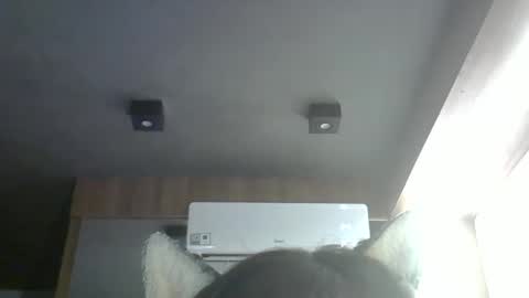 Snapshot of skinnykittencam chatting on 03-24-26, 05:51 skinnykittencam online show from 03-24-26, 05:51
